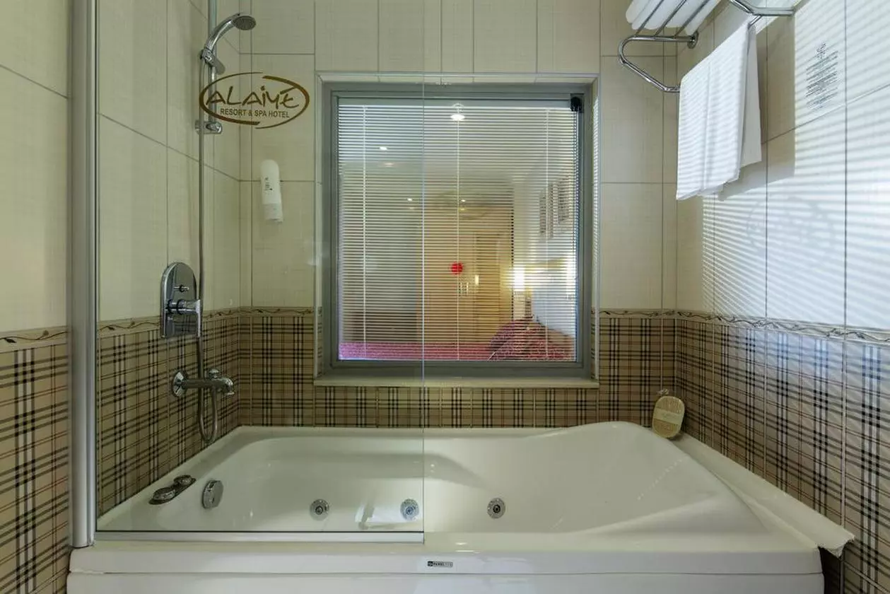 ALAIYE_SHABAVIZ (6).jpg